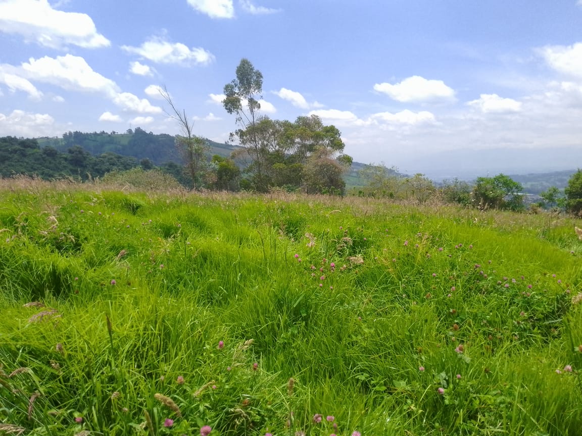 WhatsApp Image 2024-05-03 at 7.43.07 AM