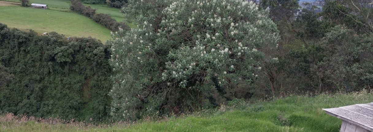 Screenshot 2025-12-14 at 8.03.52 PM